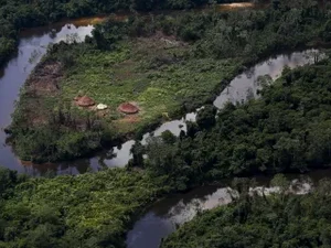 Um indígena é morto e dois são feridos em ataque à Terra Yanomami