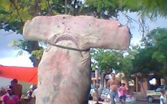 Tubarão-martelo pescado no Pontal do Coruripe