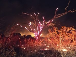 Incêndio de grandes proporções é registrado em Cacimbinhas