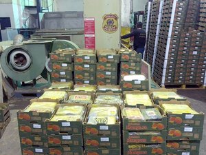 PF faz apreensão recorde de drogas no Porto de Natal 