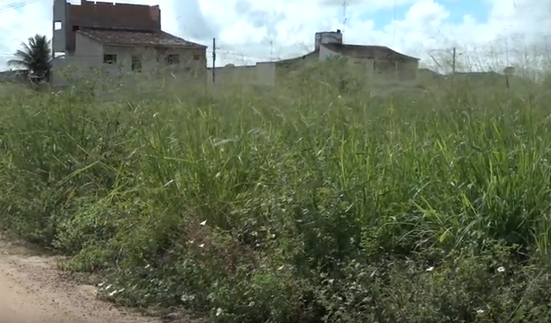 [Vídeo] Bairro de Arapiraca está tomado por matagal