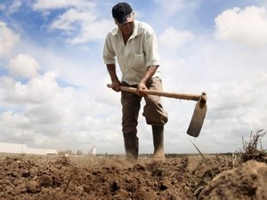 Comitê antecipa ações para minimizar efeitos da seca em Alagoas