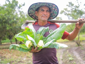 Prefeitura de Arapiraca vai investir R$ 2,9 milhões e ampliar em 150% a compra de produtos agrícolas
