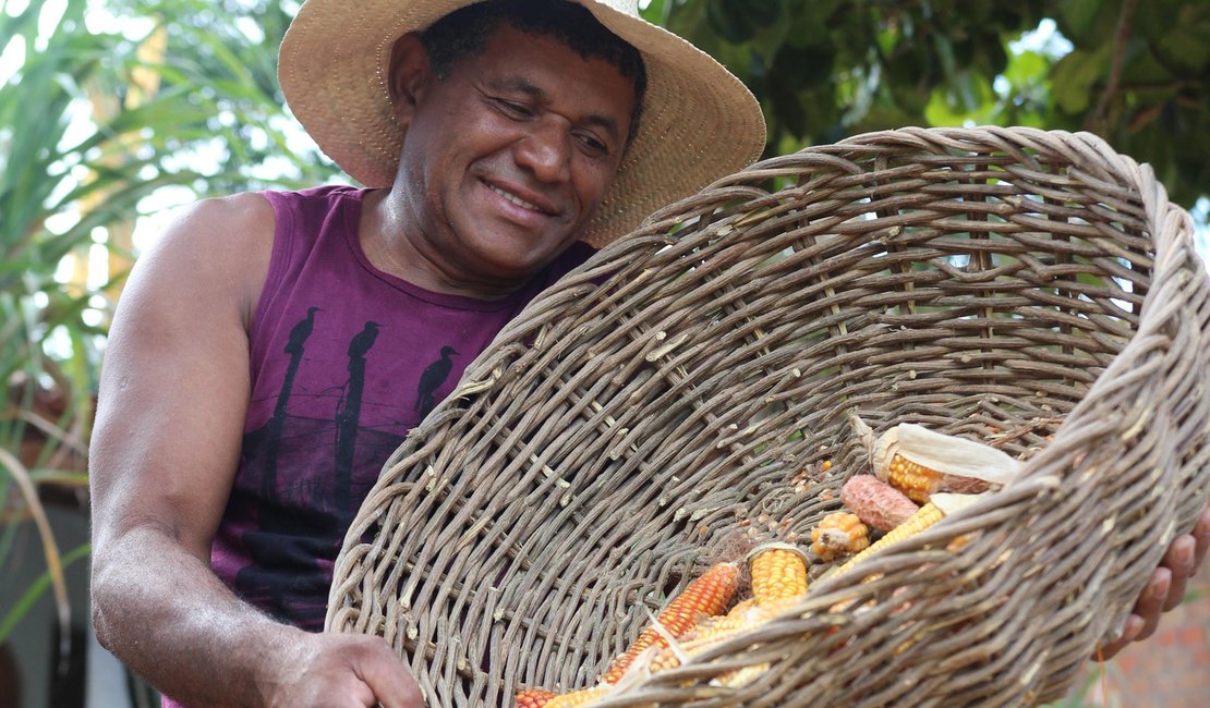 Alagoas é o estado com menor número de conflitos agrários com quilombolas