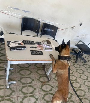 Adolescente é apreendido por tráfico de drogas no Residencial Agreste, em Arapiraca