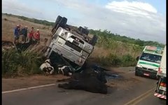 Caminhão capota após colidir com vacas que atravessavam rodovia