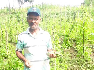 Famílias em Viçosa começam a colher alimentos produzidos em programa agricultural
