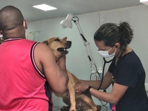 Castramóvel assiste 70 animais nos bairros Guaxuma e Garça Torta