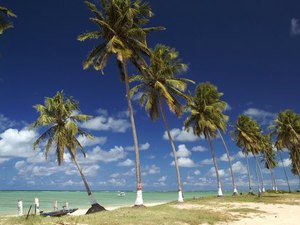 Prefeitura de São Miguel dos Milagres emite Nota de Esclarecimento