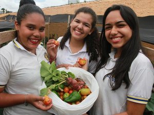 Sessenta escolas da rede de ensino estadual têm horta escolar