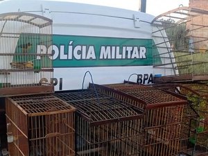 Aves Silvestres são apreendidas em Marechal Deodoro