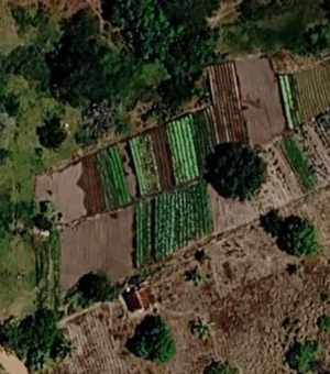 Denúncia aponta possível captação de água poluída em riacho de Arapiraca
