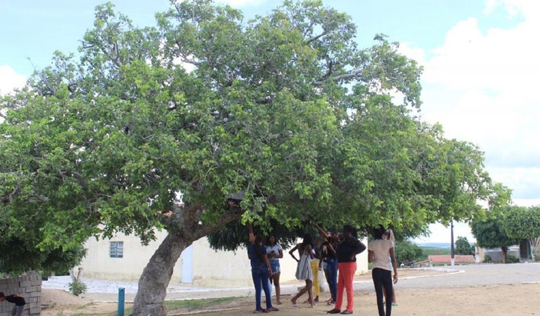 Decreto presidencial destina área para território quilombola em Alagoas