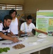 Alunos representam Alagoas em Feira de Ciências da USP 