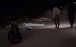 'Muitos corpos na mata': mulher se desespera ao procurar parente no RJ