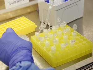 OMS terá nova reunião com especialistas para discutir coronavírus