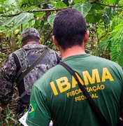 Servidores federais do Meio Ambiente paralisam atividades no país; AL adere ao movimento