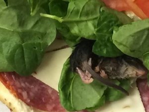 Cliente encontra rato morto em sanduíche