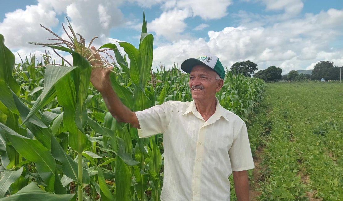 [Vídeo] Agricultores familiares de Igaci se preparam para colheita de grãos após Programa de Aração de Terras