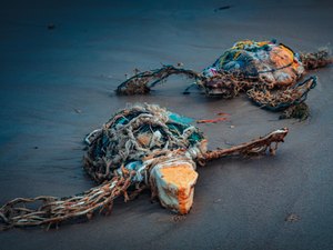 IMA lança exposição e catálogo do VII Concurso de Fotografia Ambiental