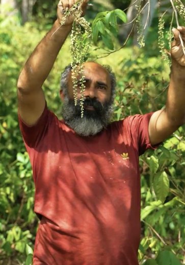 Produção agroecológica em Maceió impulsiona renda, afirma secretário de Agricultura