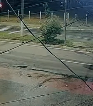 Cavalo solto na pista causa acidente na Avenida Josefa de Melo, em Maceió