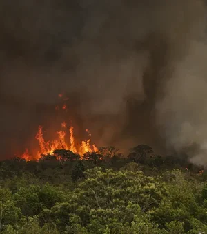 Incêndios podem ter afetado mais de 11 milhões de pessoas no Brasil, diz CNM