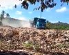 Poeira constante adoece moradores da zona rural de Maragogi