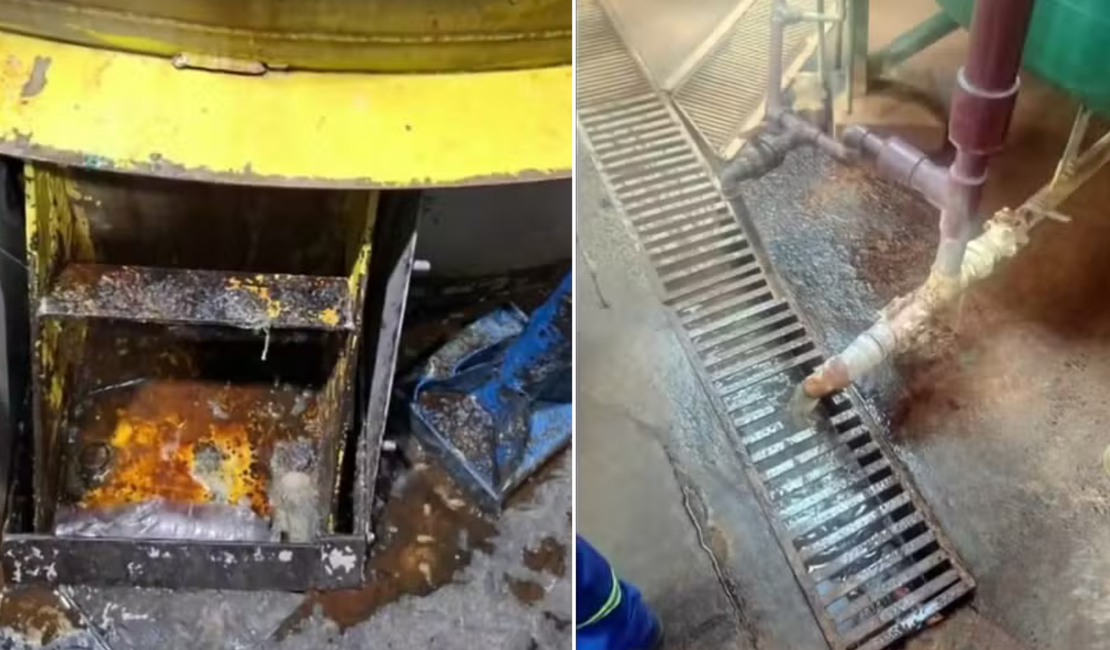 Imagens mostram inspeção sanitária realizada na fábrica da Ypê