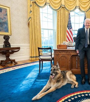 Cão adotado por Biden causa ferimento leve em agente da Casa Branca