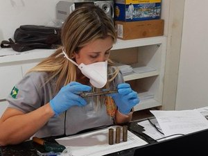 Instituto de Criminalística realiza mais de 100 exames de balística em mutirão