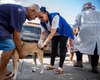 Prefeitura de Maceió vacina mais de 90 mil animais durante campanha antirrábica 2025