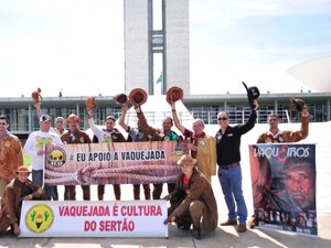 Em meio a protestos, Senado analisa propostas que regulamentam vaquejada no Brasil
