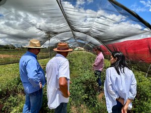 Secretaria de Agricultura vai implantar vitrine tecnológica no Sertão