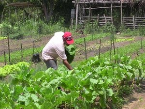 Desenvolve libera créditos que beneficia produtores do Agreste