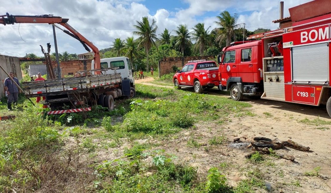 Vaca é salva pelo Corpo de Bombeiros após cair em fossa na Vila Primavera, em Penedo