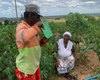 Mais de 350 famílias de quilombolas conquistam o direito à água em Arapiraca após atuação da Defensoria Pública do Estado