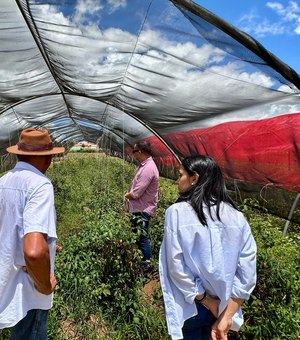 Secretaria de Agricultura vai implantar vitrine tecnológica no Sertão