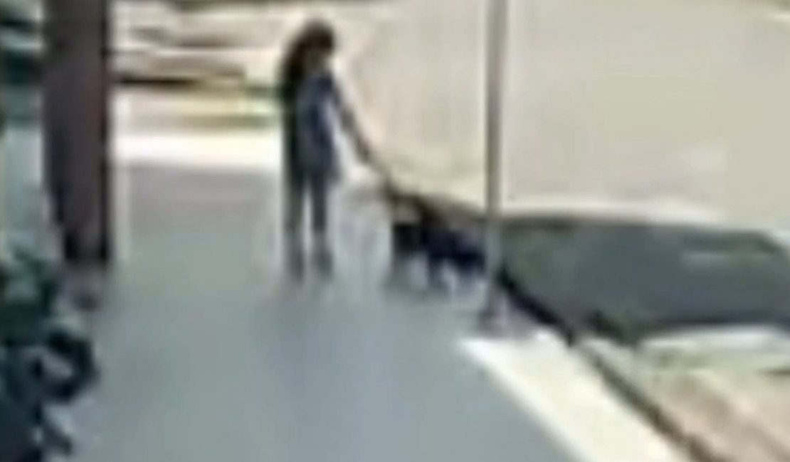 Pitbull ataca e mata pinscher na frente de criança no bairro Cavaco, em Arapiraca