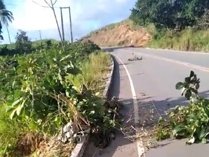 [Vídeo] Buraco na rodovia AL 460 causa perigo em Porto Calvo