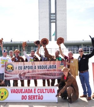 Em meio a protestos, Senado analisa propostas que regulamentam vaquejada no Brasil