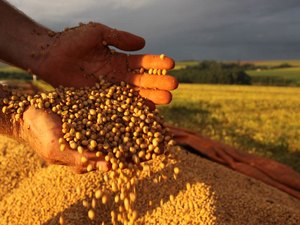 Governo zera imposto de importação de derivados da soja e do milho, diz jornal