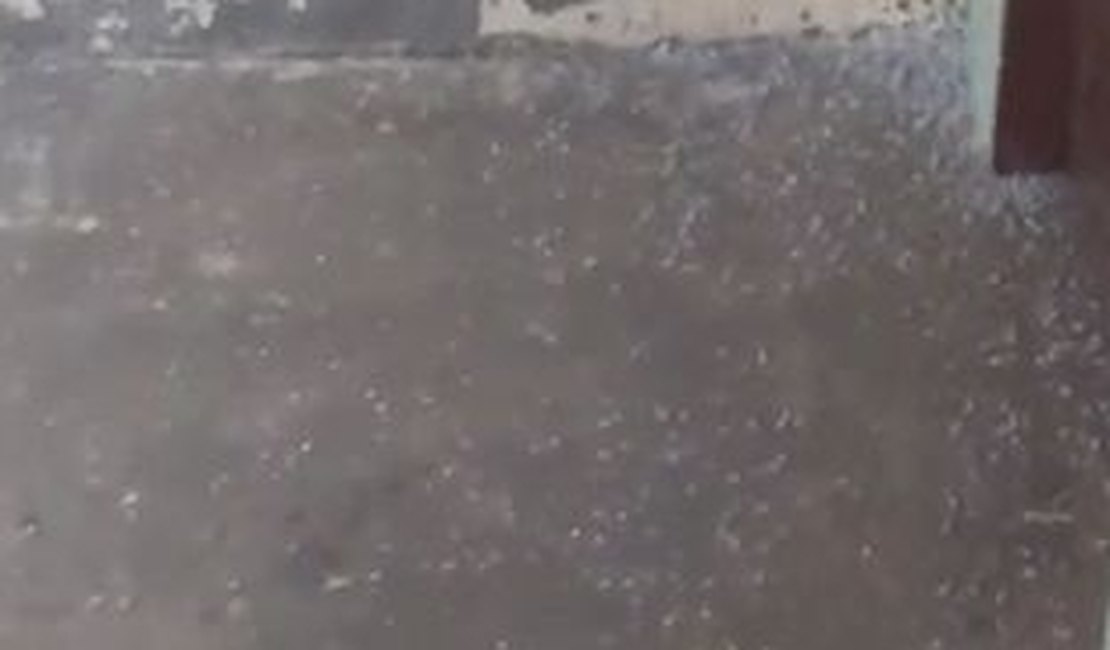 Em Mata Grande moradores registram chuva de granizo