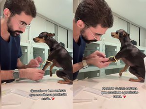 [Vídeo] Veterinário viraliza ao cuidar de Pinscher e mostra que o amor é o melhor remédio