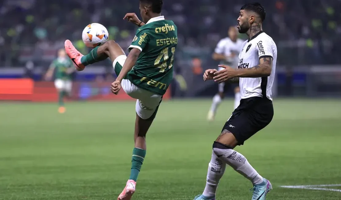 Botafogo elimina Palmeiras e avança na Libertadores após virada anulada pelo VAR