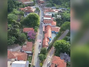 MG: Prefeitura de Congonhas emite nota após envenenamento de animais