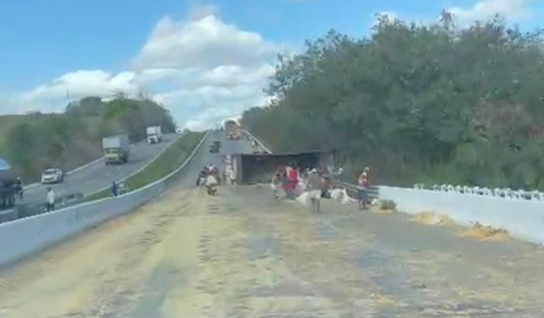 Carreta tomba e derruba milho em rodovia no município de Porto Real do Colégio