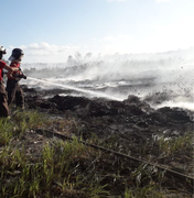 Bombeiros combatem incêndio em vegetação de Palmeira dos Índios