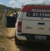 PM destrói plantação de Maconha na Zona Rural de Canapi