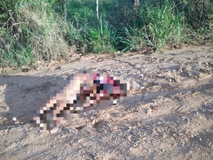 Homem é assassinado e tem corpo desovado no povoado Candará, em Palmeira dos Índios